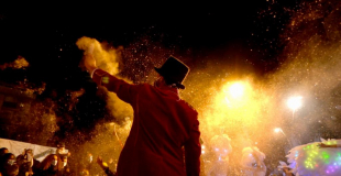 Le bal des cygnes - casse noisette