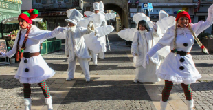 Les Flocons du Pôle Nord