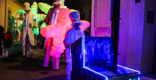 Les Flocons du Pôle Nord