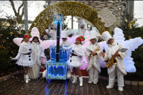 Les Flocons du Pôle Nord