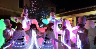 Les Flocons du Pôle Nord