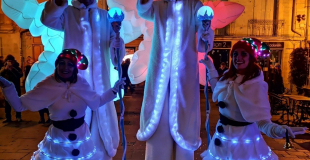 Les Flocons du Pôle Nord