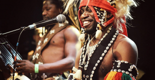 doubayabi percussion tambour musique guinee danse africaine wim percussion