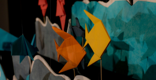 Des animaux à découvrir