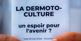 Découvrez le dernier ouvrage du Professeur Chycki