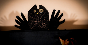 D'étranges créatures