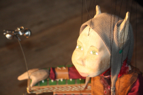 Cocotte prend la pose