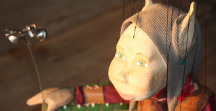 Cocotte prend la pose