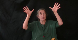 Contes plantes, nature Bretagne maternelles