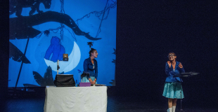 Projection et marionnettes à tige