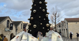 Les Oiseaux Majestueux