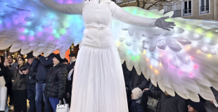 Les Oiseaux Majestueux et lumineux