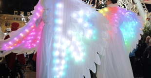 Les Oiseaux Majestueux de lumière