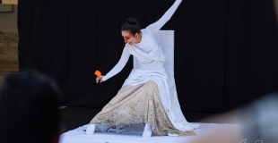 Spectacle Pezzettino 4