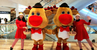 Les Rennes rigolos et le lapon