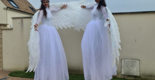 Les Oiseaux Majestueux de lumière