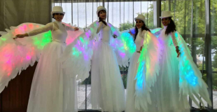 Les Oiseaux Majestueux et lumineux