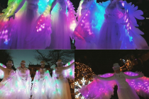 Les Oiseaux Majestueux