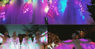 Les Oiseaux Majestueux