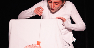 Spectacle Pezzettino 4