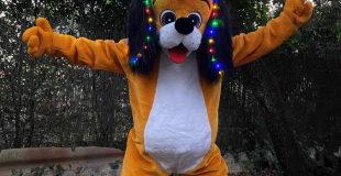 Notre mascotte Sweety