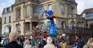 Chenille ballon sculpté La Siphonée