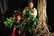 Découverte de la foret