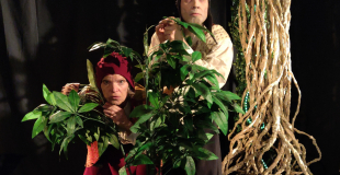 Découverte de la foret