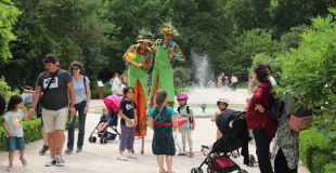 échassiers jardiniers dans un parc