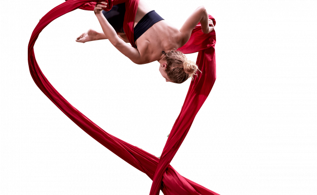 L'art du cerceau aérien : une prestation acrobatique époustouflant