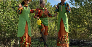 échassiers jardiniers