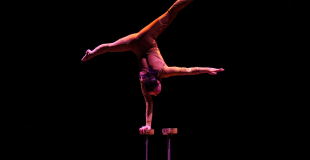 équilibre d'un bras