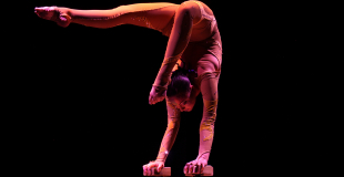 équilibre en contorsion