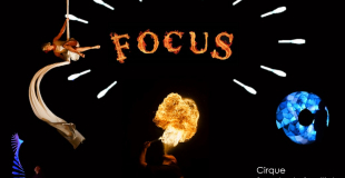 Focus - Lomalamal
