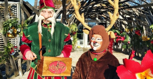 un traîneau presque neuf !