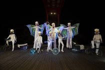 Echassiers blancs lumineux Noël