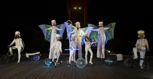 Echassiers blancs lumineux Noël