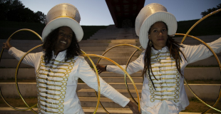 Echassiers blancs lumineux Noël