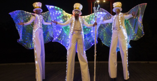 Echassiers blancs lumineux Noël