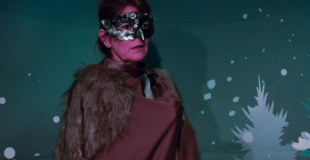 La sorcière des glaces