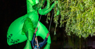 L'Odysée minuscule - La mante religieuse