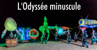 L'Odysée minuscule - 