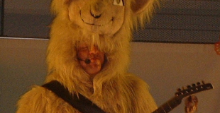 Le bouquetin magicien