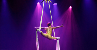 Polaris tissu aérien