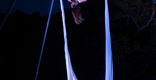 Tissu aérien sur portique 3