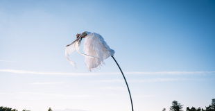 Sway pole, les ailes froissées 3