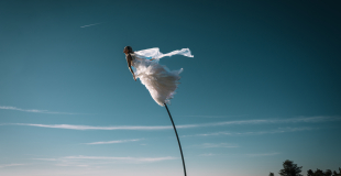 Sway pole, les ailes froissées 2