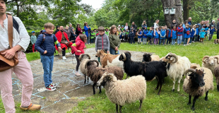 FAMILLE DÉPRÉS - baiser du bélier - DOG TRAINER