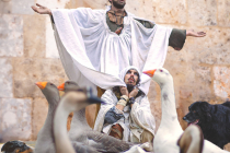 Gueux à chiens - Afiche  -Dog Trainer