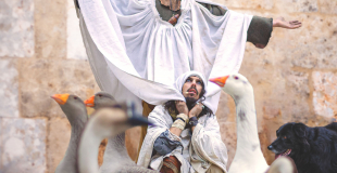 Gueux à chiens - Afiche  -Dog Trainer